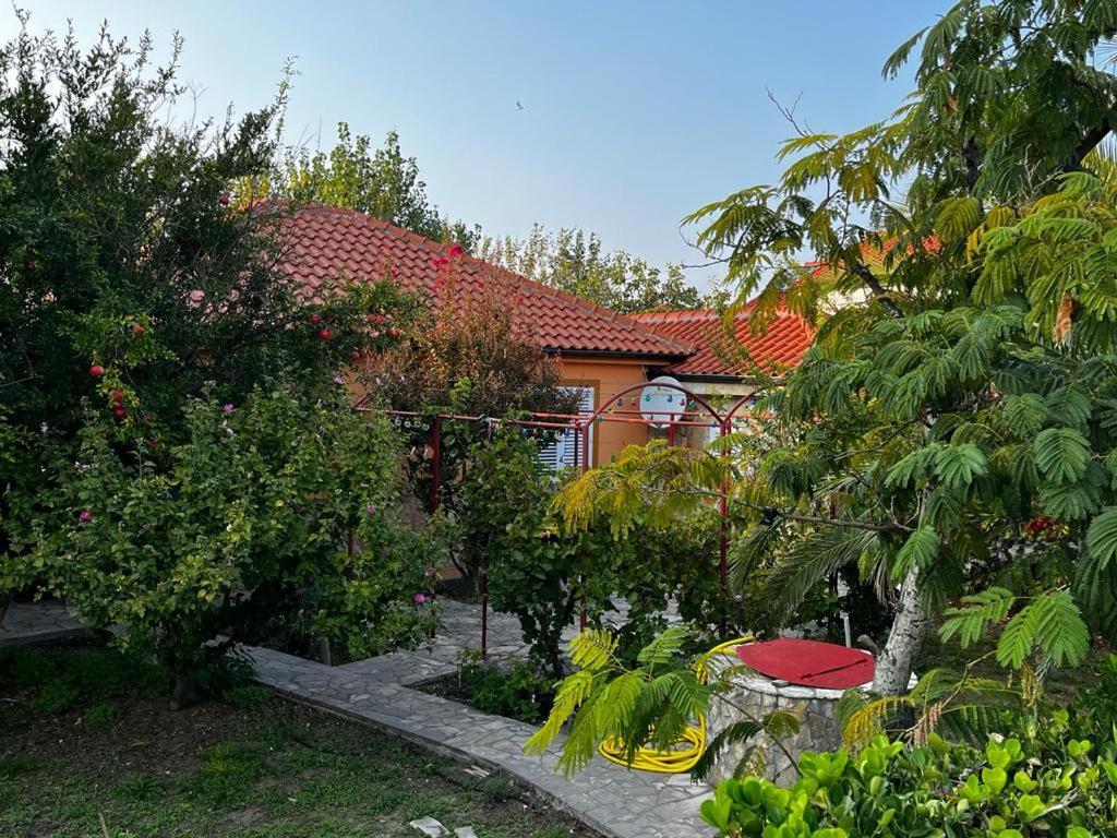 Villa Vesna Nin Exterior foto